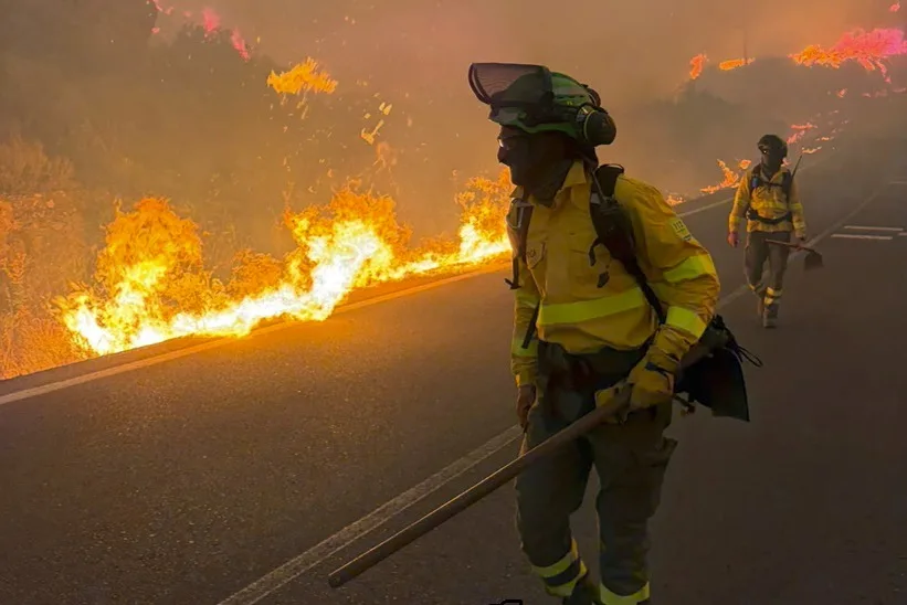 Incendio forestal en Almería, España, podría haber dejado 12 muertos y 19 desaparecidos, según presidente andaluz