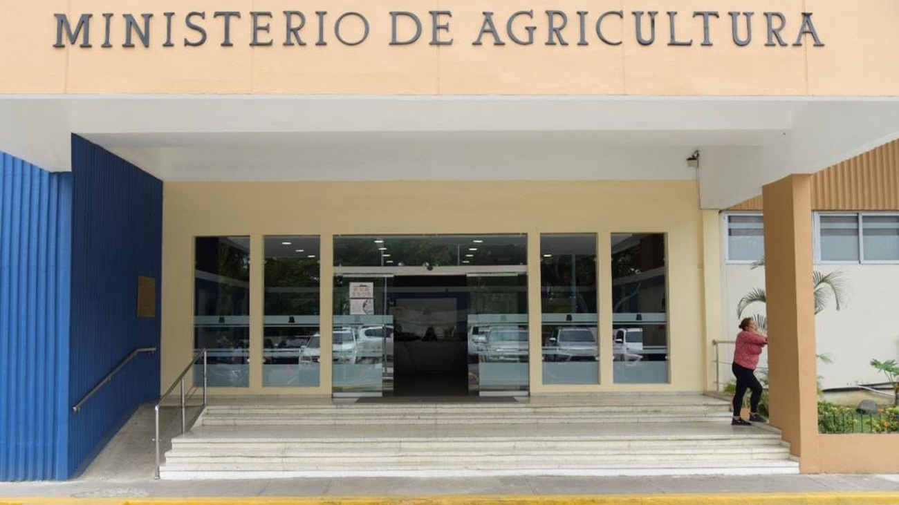 Agricultura crea comisión para erradicar la mosca de la fruta que afecta al mango y provocó suspensión de exportaciones a EE. UU.