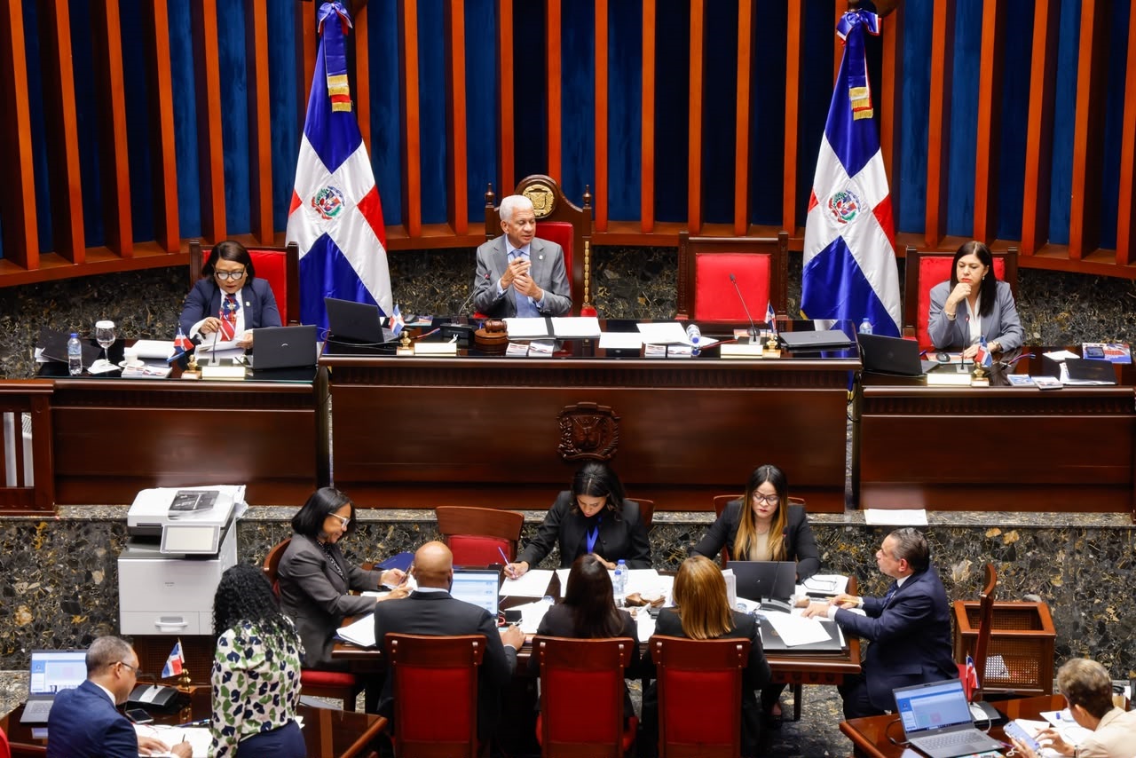Senado aprueba en segunda lectura ley que crea el Instituto Nacional de Custodia a favor de las mujeres victimas de violencia de genero