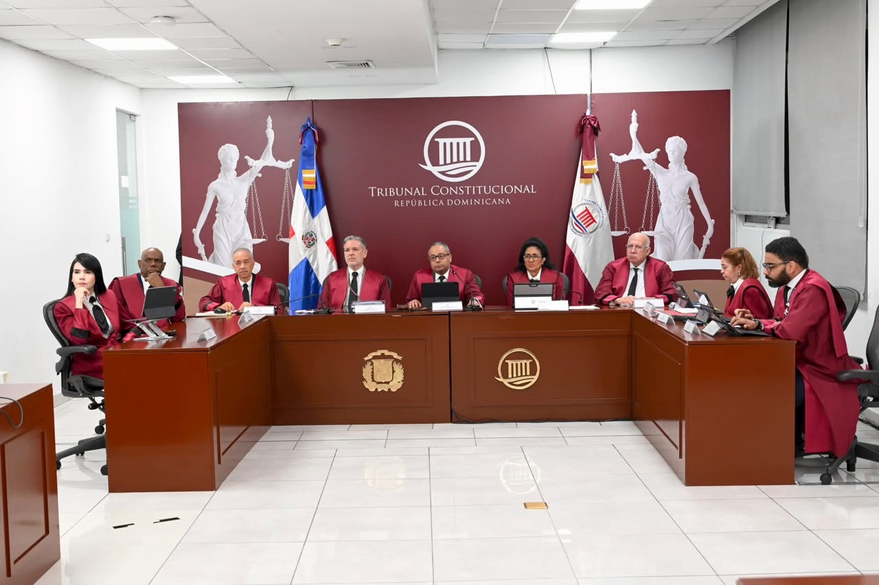 Tribunal Constitucional conoce 23 acciones sobre inclusión, Código Penal y régimen electoral
