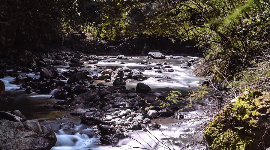 Imponen medidas de coerción a hombre sorprendido extrayendo arena del río Tireo