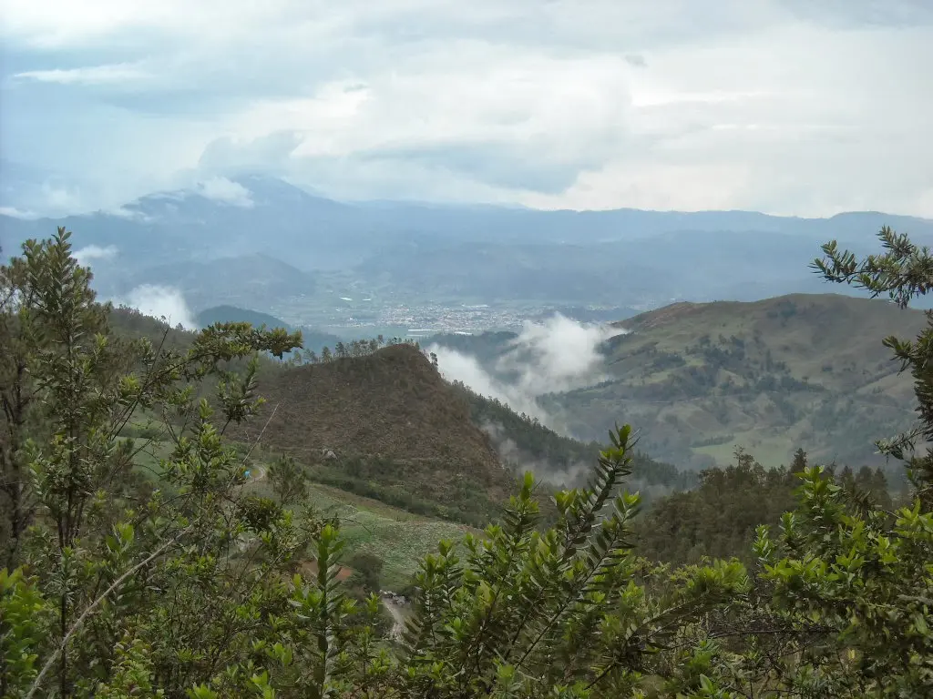 Dictan tres meses de prisión preventiva a dos hombres por deforestación en Valle Nuevo