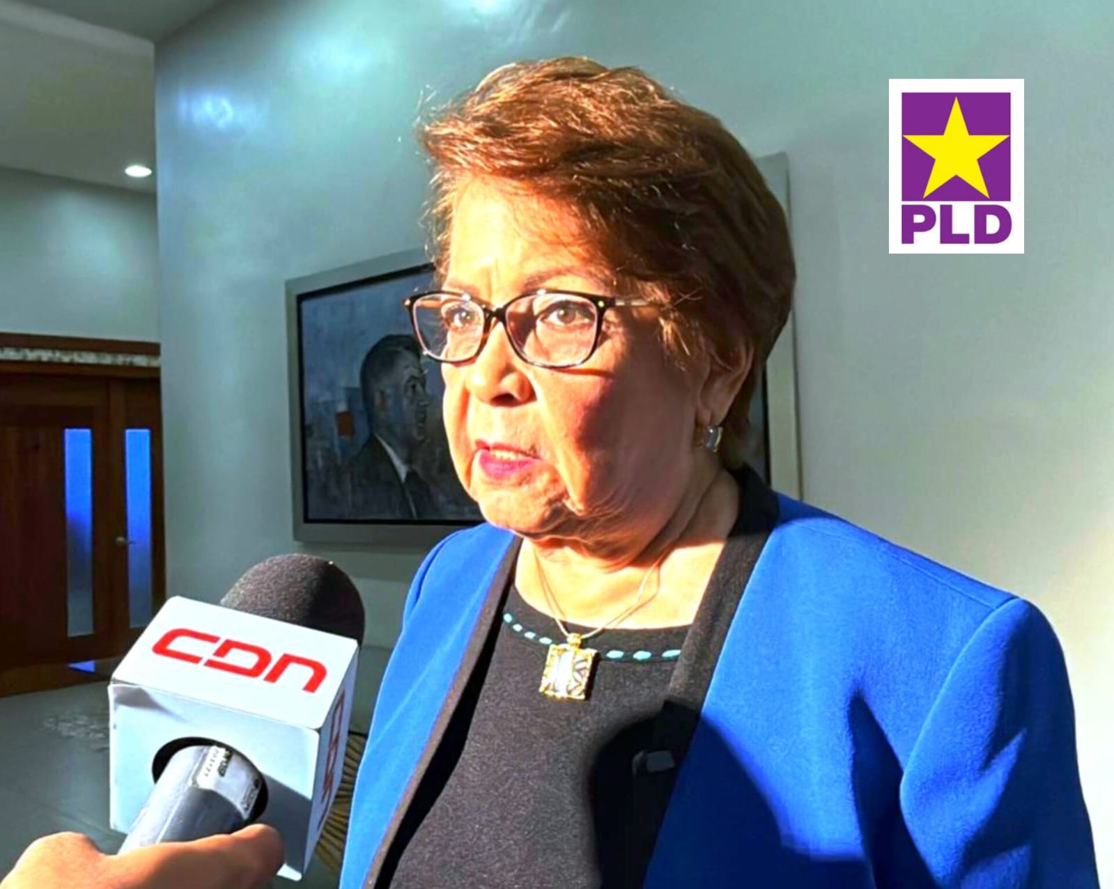 Alejandrina Germán defiende transparencia de consulta del PLD y explica exclusiones del padrón