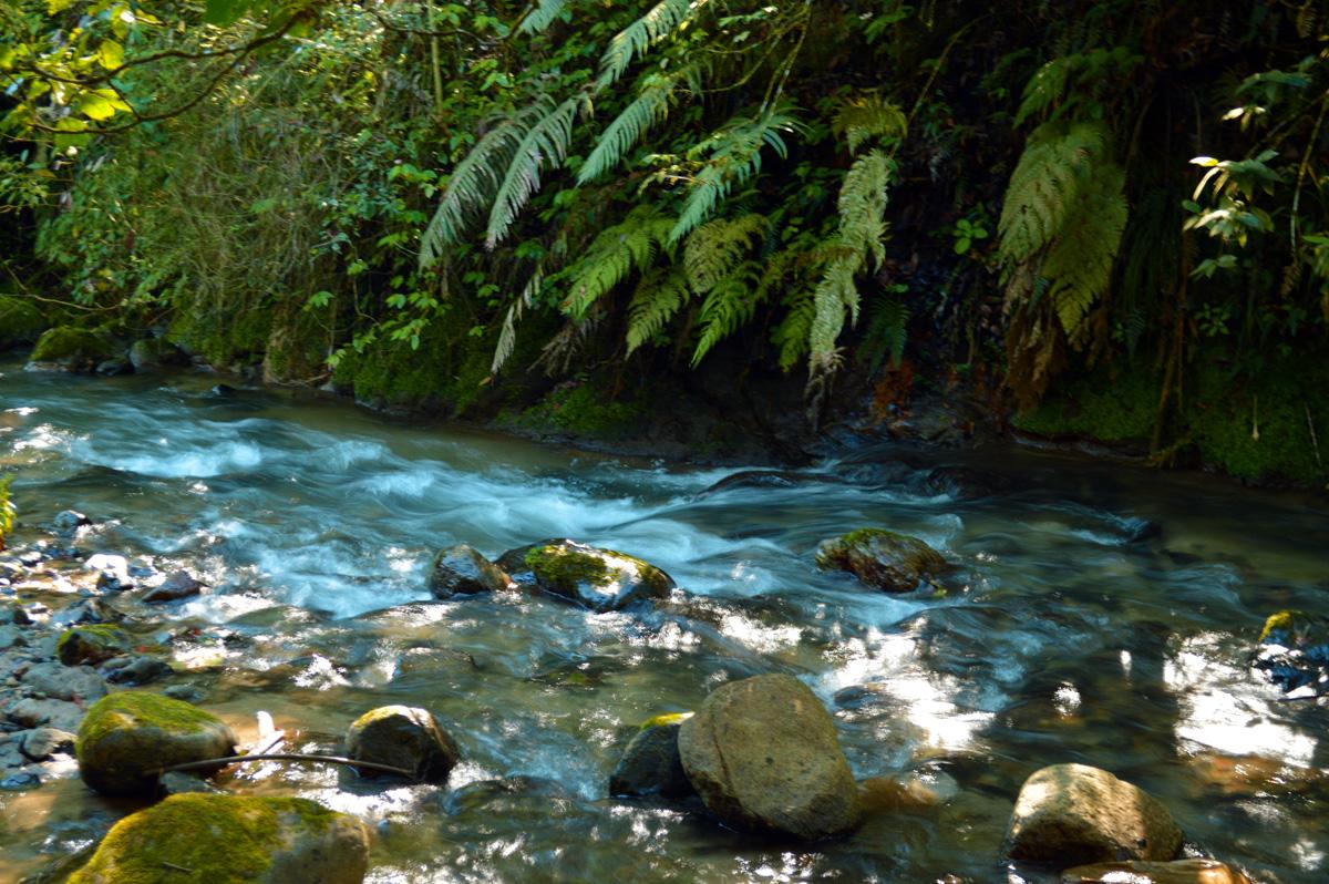  Ministerio de Medio Ambiente y PNUD abren convocatoria para financiar proyectos comunitarios de desarrollo sostenible de hasta US$50,000 